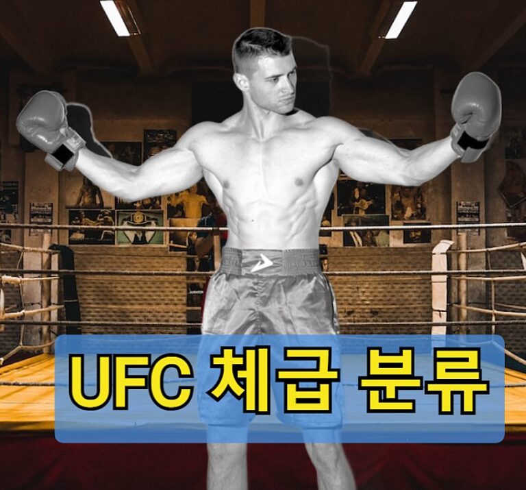 UFC 체급분류표