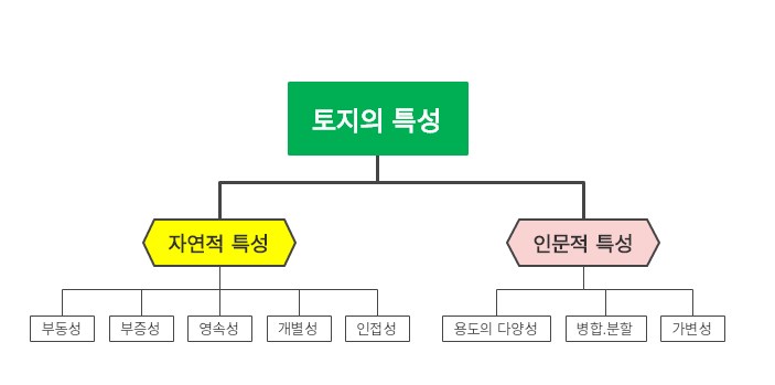 마인드맵 작성 앱 이드로우 마인드